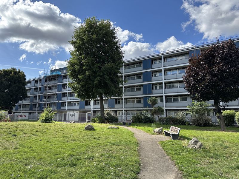 Main Image